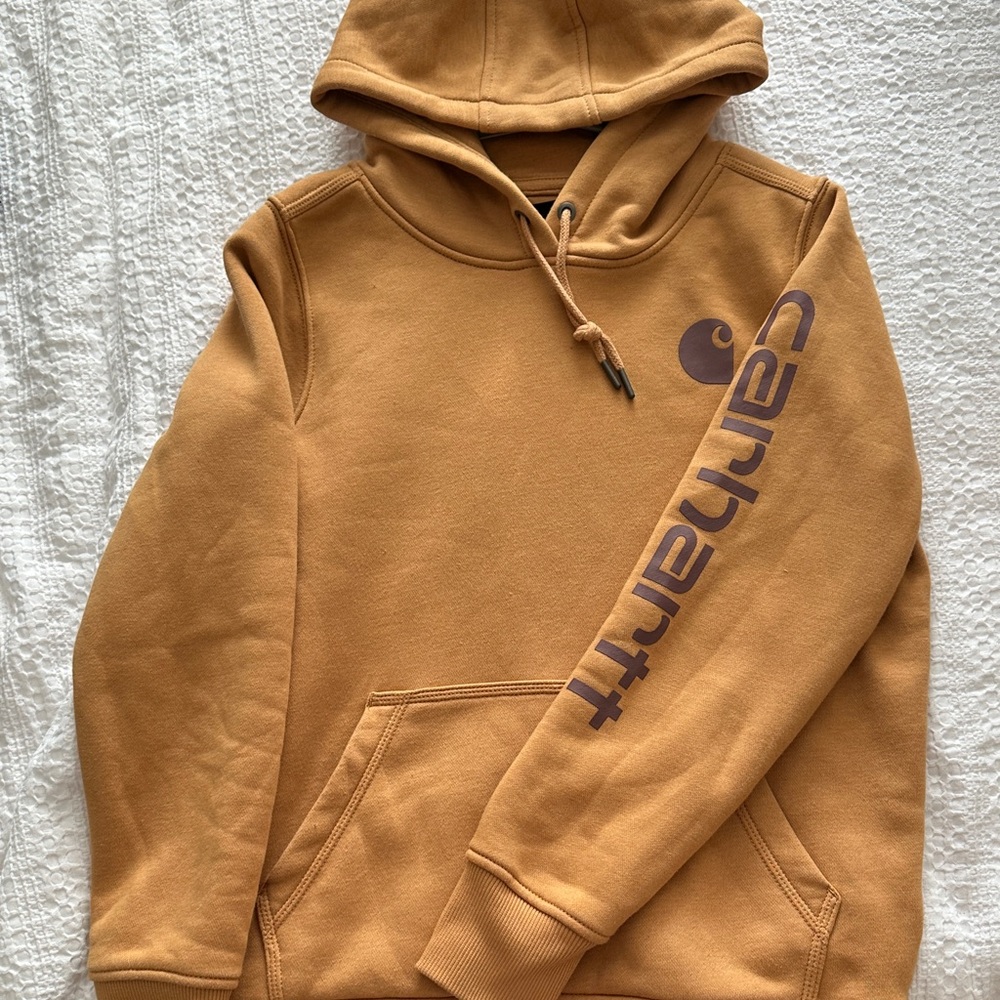 Carhartt Men's Brown Hoodie with Logo